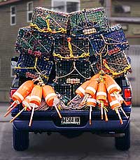 buoys and floats on a lobsterman's truck