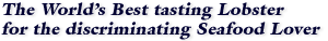 the World's best tasting Lobster, for the discriminating Seafood Lover