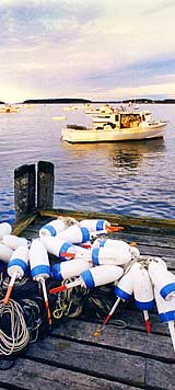 The morning view from Atwood Wharf