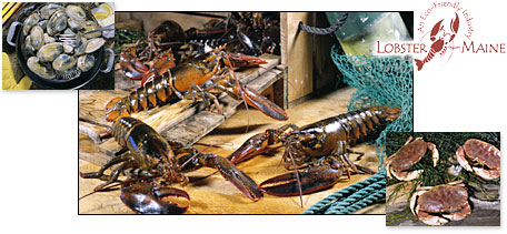 Wholesale Lobster & Shellfish