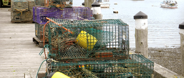 Lobster Traps on Wharf