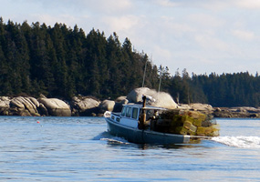 Lobster Boat with Traps